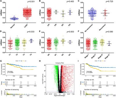 Bioinformatics Analysis Reveals Biomarkers With Cancer Stem Cell Characteristics in Lung Squamous Cell Carcinoma